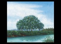 Tree in the waterside by Kan Irie - Auction record, sale price, and art valuation. Compare with similar artists and explore comparable artworks.
