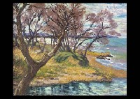 Lakeside in the early Spring
