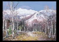 Norikura-dake and Shirakaba Woods by Atsuko Sato - Auction record, sale price, and art valuation. Compare with similar artists and explore comparable artworks.