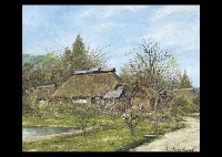 Spring in Mountain Village