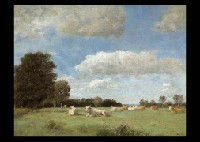 Vaches au prairie