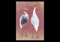 Two Cranes