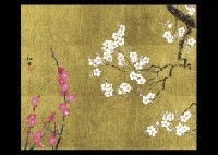 Red and White Plum