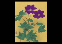 Clematis