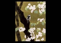 Blossoms (Mountain cherry blossoms)