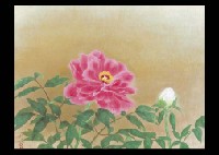Peony