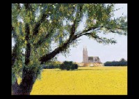 Chartres in July