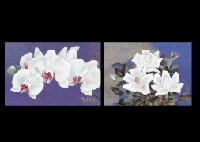 Orchid