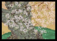 Mountain Cherry Blossom