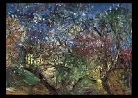 Plum Woods