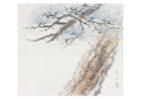 Old Pine