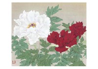 Peony