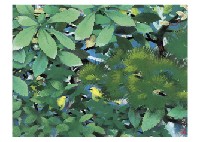 Birds in the Shadow by Chosei Miwa - Auction record, sale price, and art valuation. Compare with similar artists and explore comparable artworks.