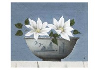 Clematis