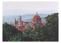 Cathedral between the trees
