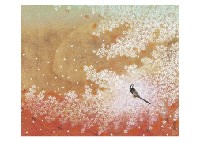 Blossoms Storm