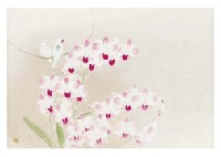 Flowers by Kazuo Kakurai - Auction record, sale price, and art valuation. Compare with similar artists and explore comparable artworks.
