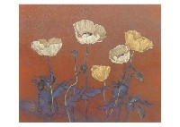 Poppy