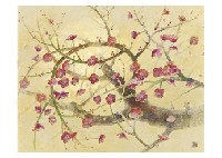 Red Plum