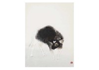 A calf
