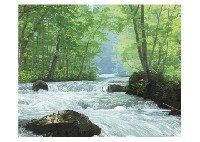Early summer in OIRASE by Ryoichi Wakai - Auction record, sale price, and art valuation. Compare with similar artists and explore comparable artworks.
