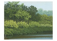 Early summer and Mountain mist