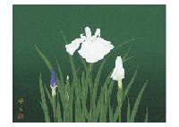 Iris by Akiyoshi Ikeuchi - Auction record, sale price, and art valuation. Compare with similar artists and explore comparable artworks.