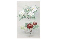 Peony