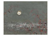 Water pepper and birds