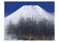 Mt. Fuji