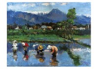 Shinshu Rice planting