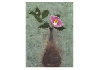 Camellias