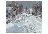 Snow Pathways