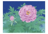 Peony