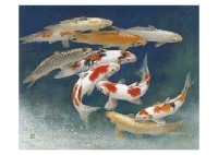 Carp