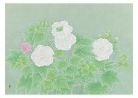 Peony