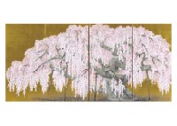 Cherry Blossoms