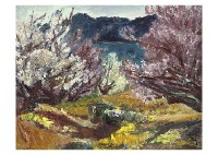 Ume blossoms