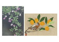 Flower of Akebia (2)