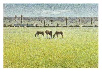 Farm