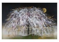 Daigoji Night Blossoms