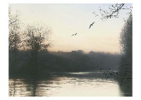 Savres River in the early Spring by Makoto Oshiro - Auction record, sale price, and art valuation. Compare with similar artists and explore comparable artworks.