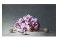 Orchid