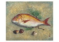 Bream