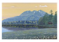 Spring light in the lake