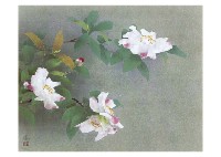 Sazanqua by Masaru Matsumoto - Auction record, sale price, and art valuation. Compare with similar artists and explore comparable artworks.