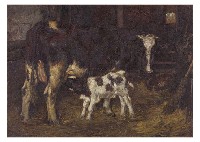 Cow