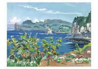 Shiotani Ocean