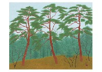 Pine