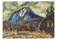 Mt. Nantai from Nikko Suginami Road, Vegetables and Waterfall (3)